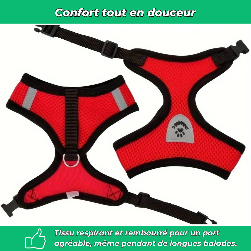 Harnais réglable avec laisse pour chat – Sécurité et confort en promenade