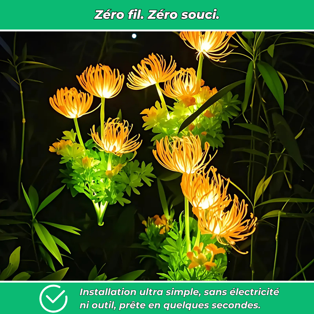 Lumières solaires florales décoratives pour jardin (Lot de 2)