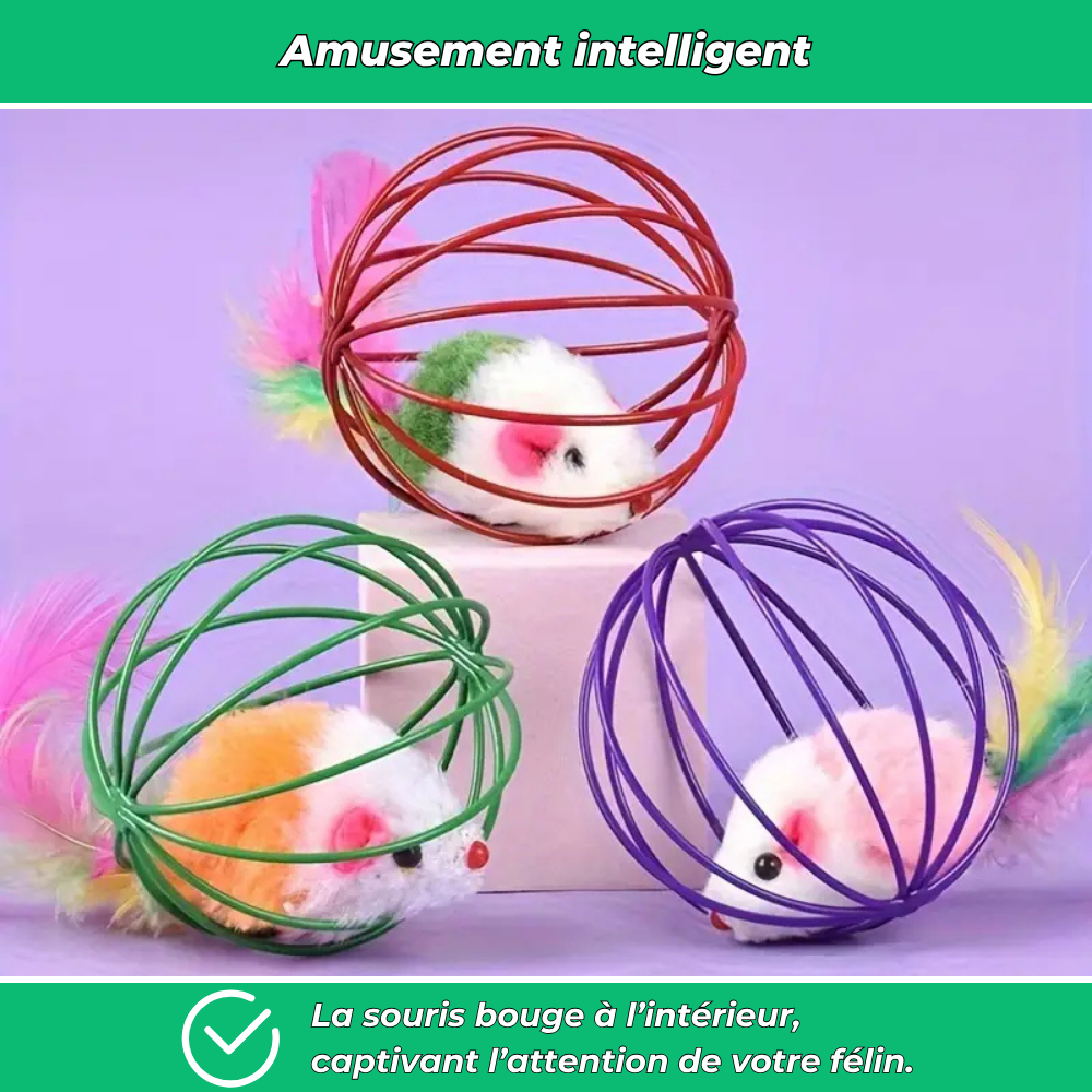 Balle cage interactive pour chat – Avec souris intégrée pour jeu stimulant