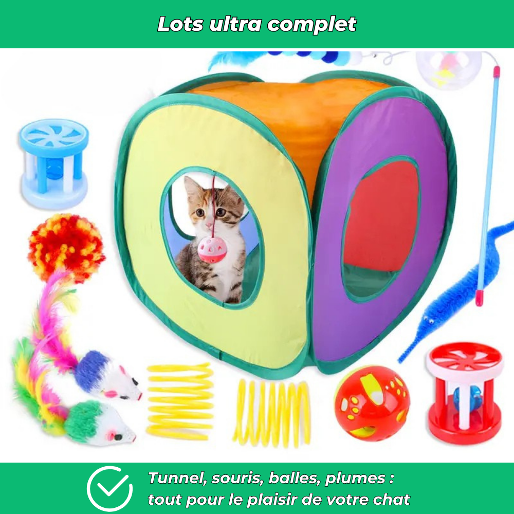 Lot de jouets interactifs pour chat – Stimule la chasse et l’activité quotidienne