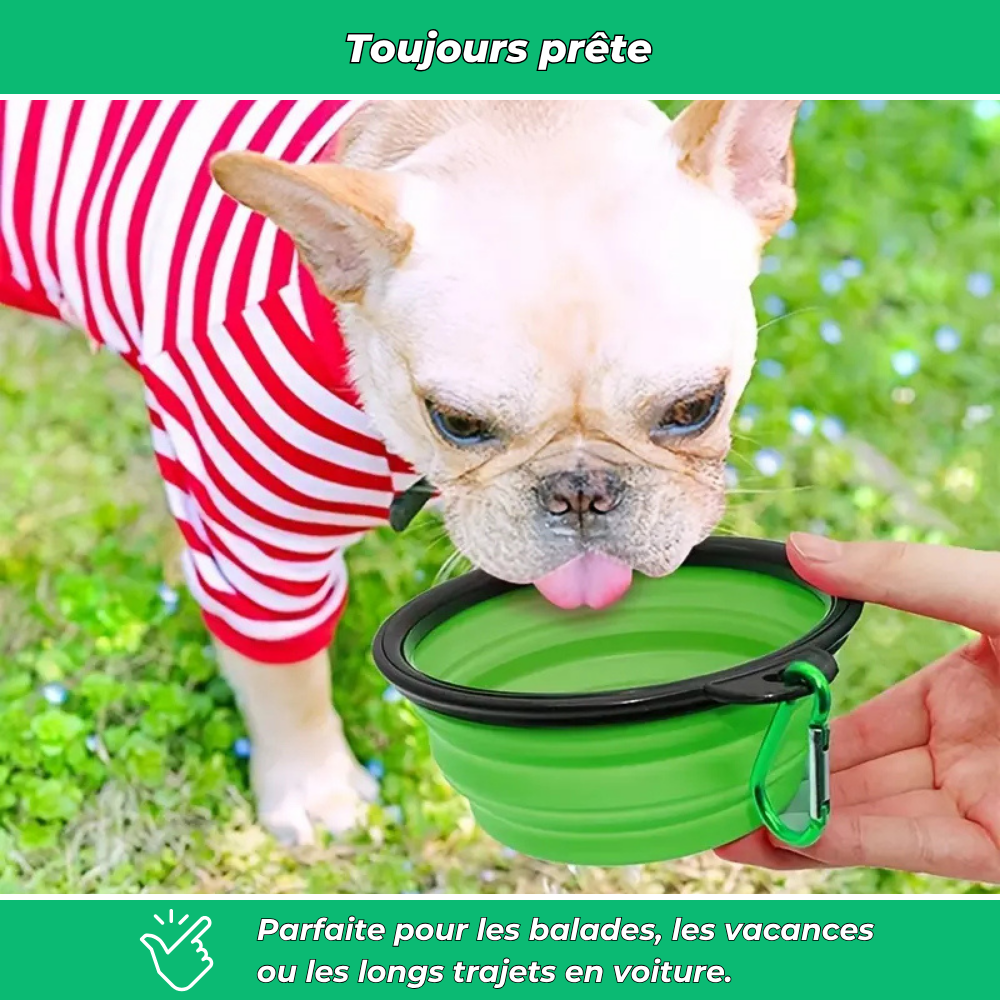 Gamelle pliable en silicone pour chien et chat – Voyage, camping et promenade