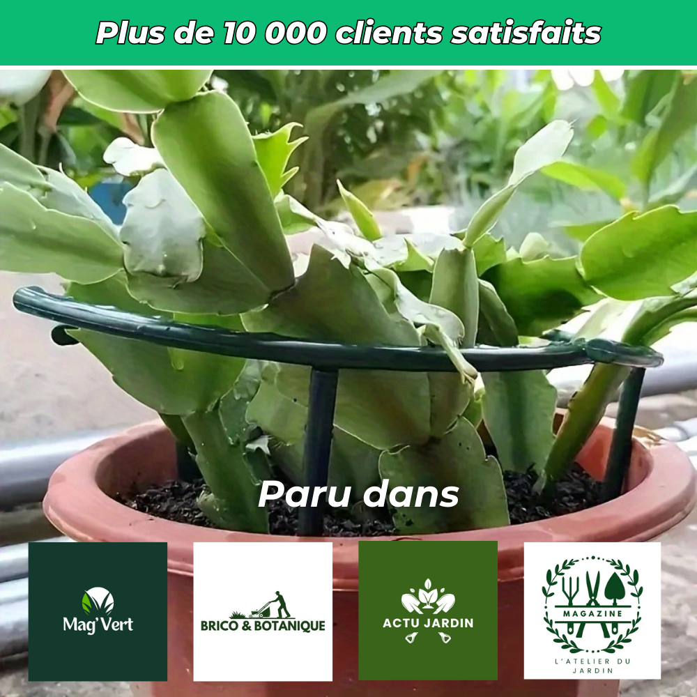Anneaux de Support Flexibles pour Plantes – Support Ajustable pour Croissance des Plantes