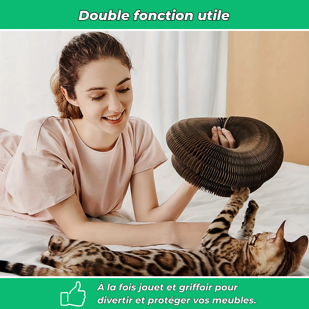 Griffoir en carton modulable pour chats – Jouet d’intérieur et anti-stress