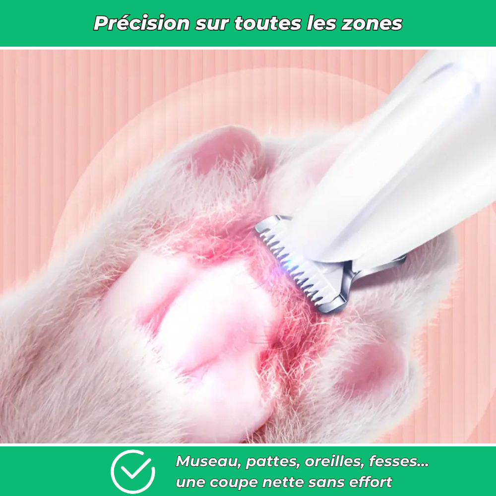 Tondeuse électrique silencieuse pour chiens et chats – Toilettage multi-zones sans stress