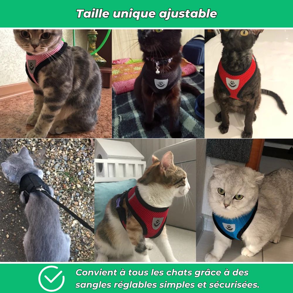 Harnais réglable avec laisse pour chat – Sécurité et confort en promenade
