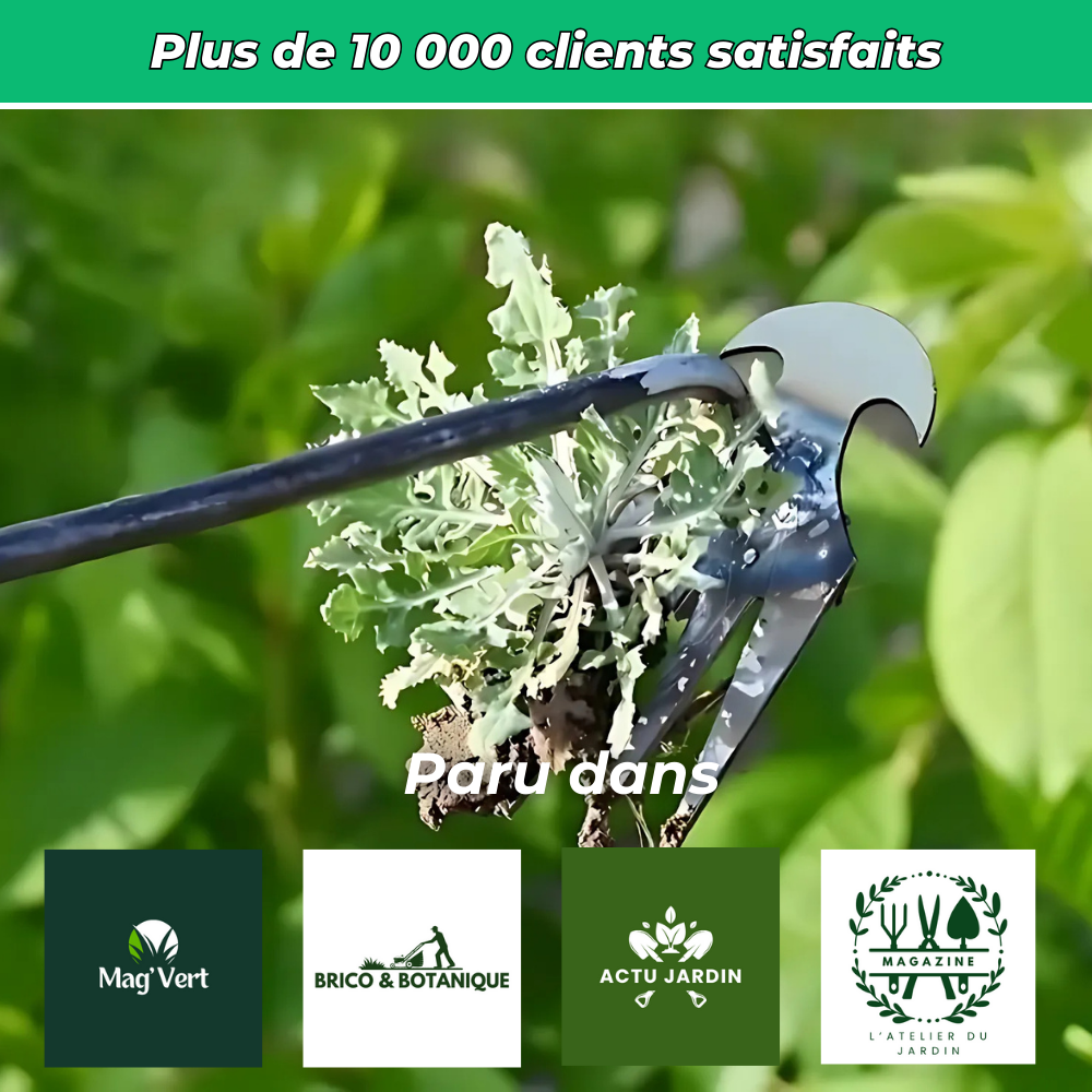 Râteau de Désherbage – Outil Multifonction pour Éliminer les Mauvaises Herbes efficacement