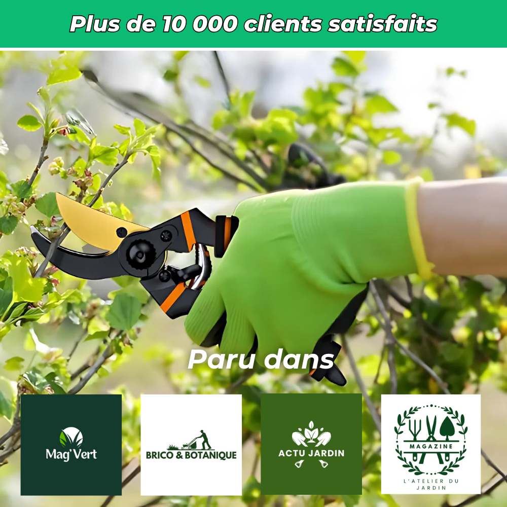 Sécateur Tranchant en Titane – Coupe Précise et Durable pour Jardinage Intensif