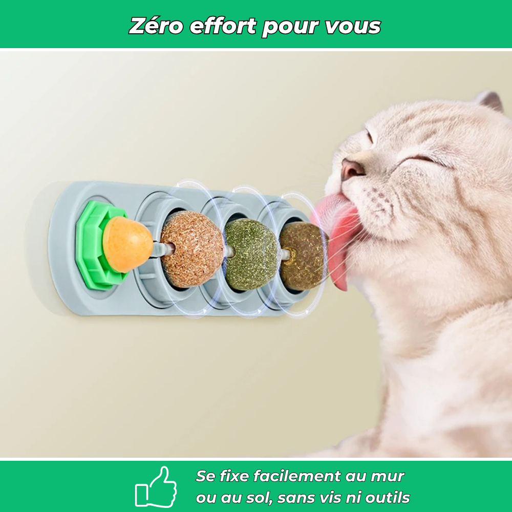 Jouet mural VetiChat à l’herbe à chat naturelle – Stimulation et relaxation