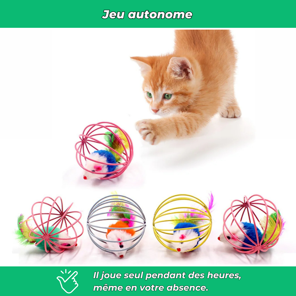 Balle cage interactive pour chat – Avec souris intégrée pour jeu stimulant