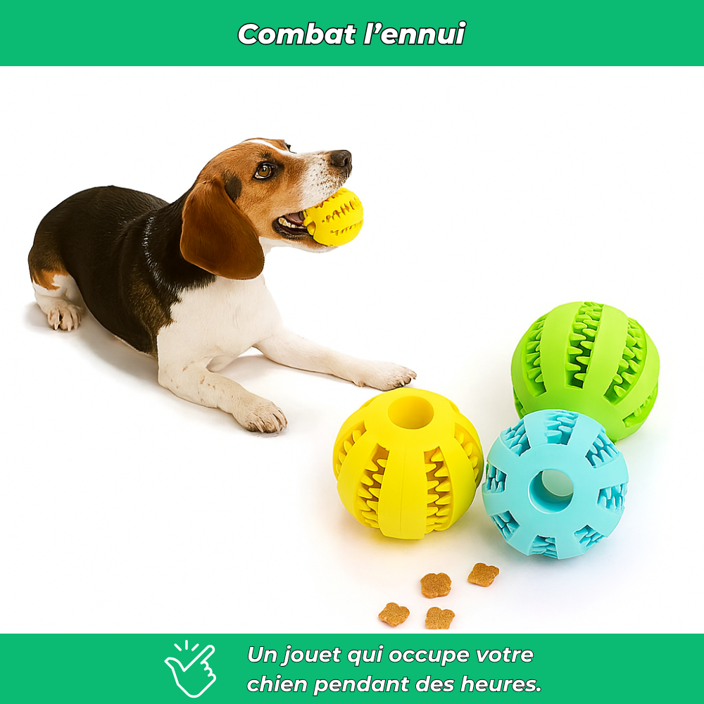 Balle en caoutchouc solide pour chien – Jouet à mâcher et nettoyage dentaire