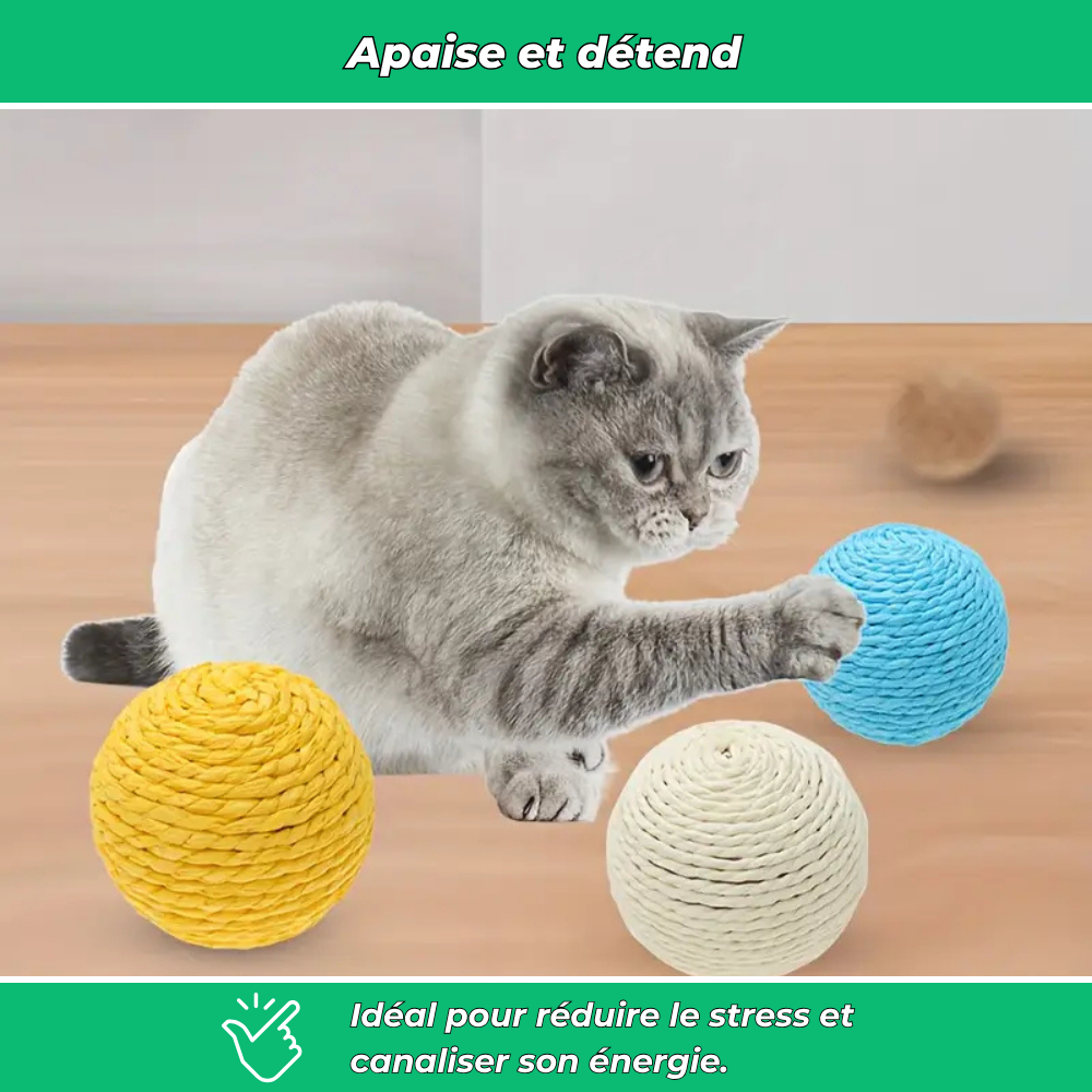 Balle interactive à gratter pour chat – Jouet anti-stress et stimulant