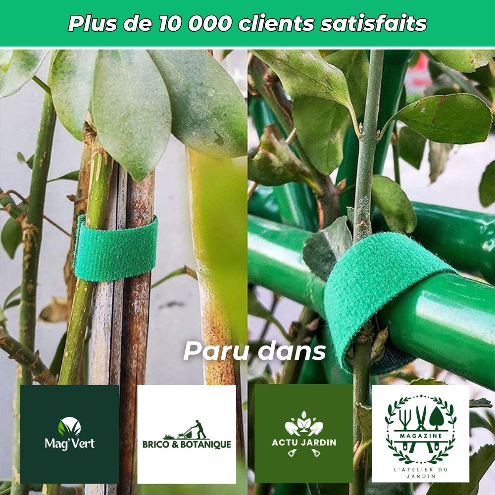 Fixations Ajustables pour Plantes – Soutien et Protection Optimale pour Croissance des Plantes