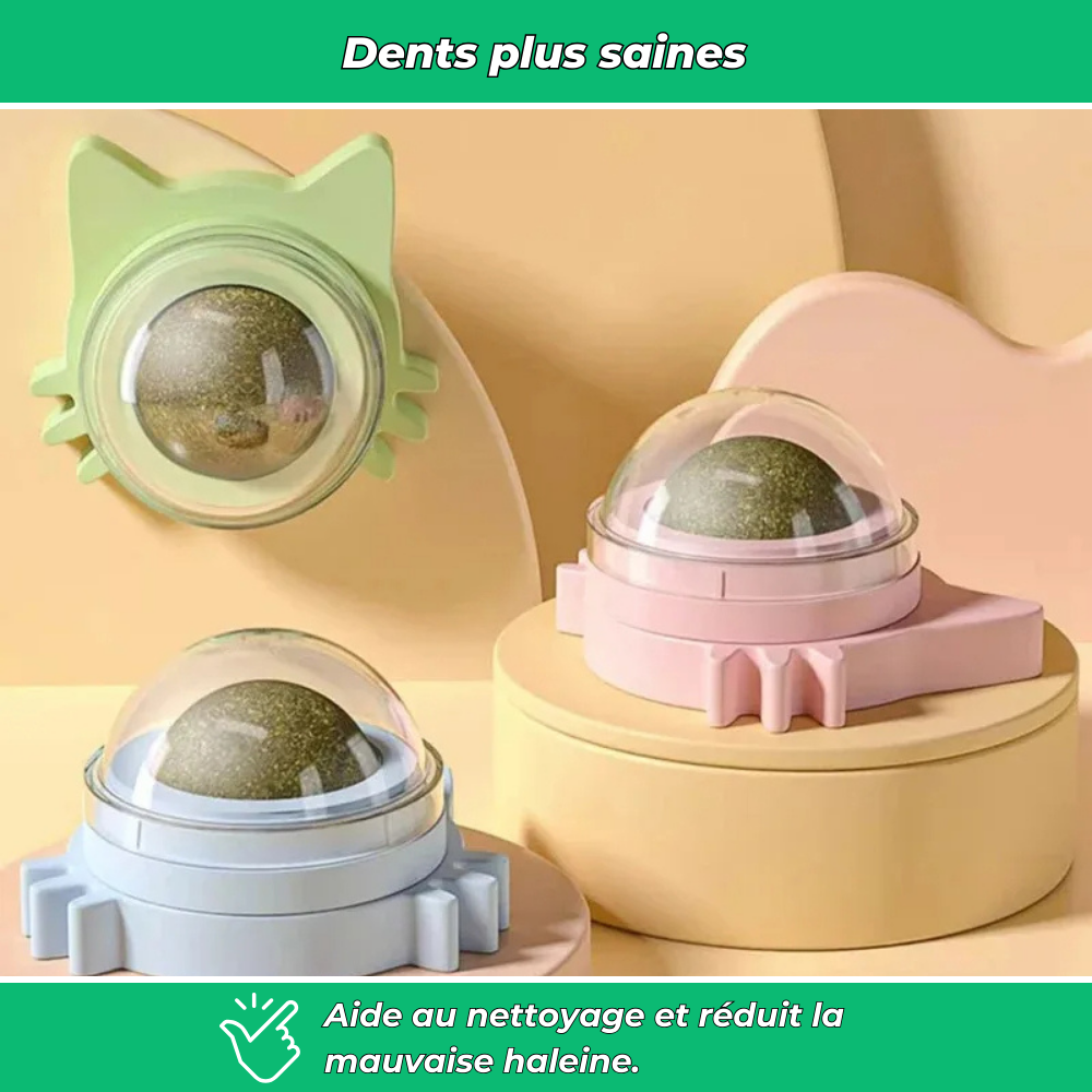 Sucette murale VetiPure à l’herbe à chat – Jouet relaxant et stimulant