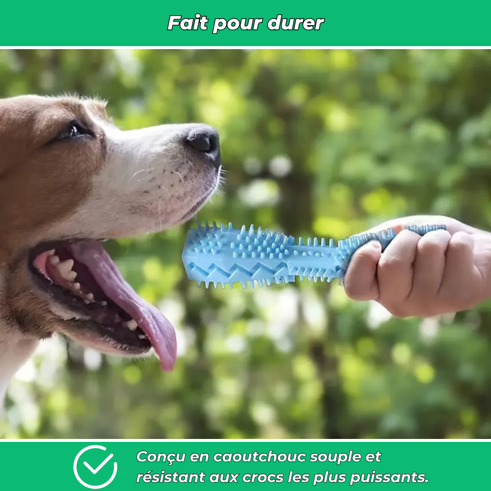 Bâtonnet dentaire en caoutchouc souple pour chiens – Jouet de mastication et nettoyage