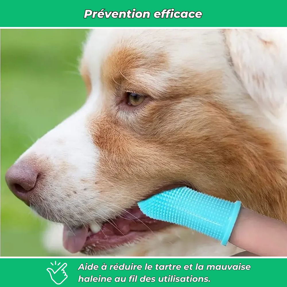 Brosse à dents en silicone pour chiens et chats – Hygiène dentaire et gencives saines