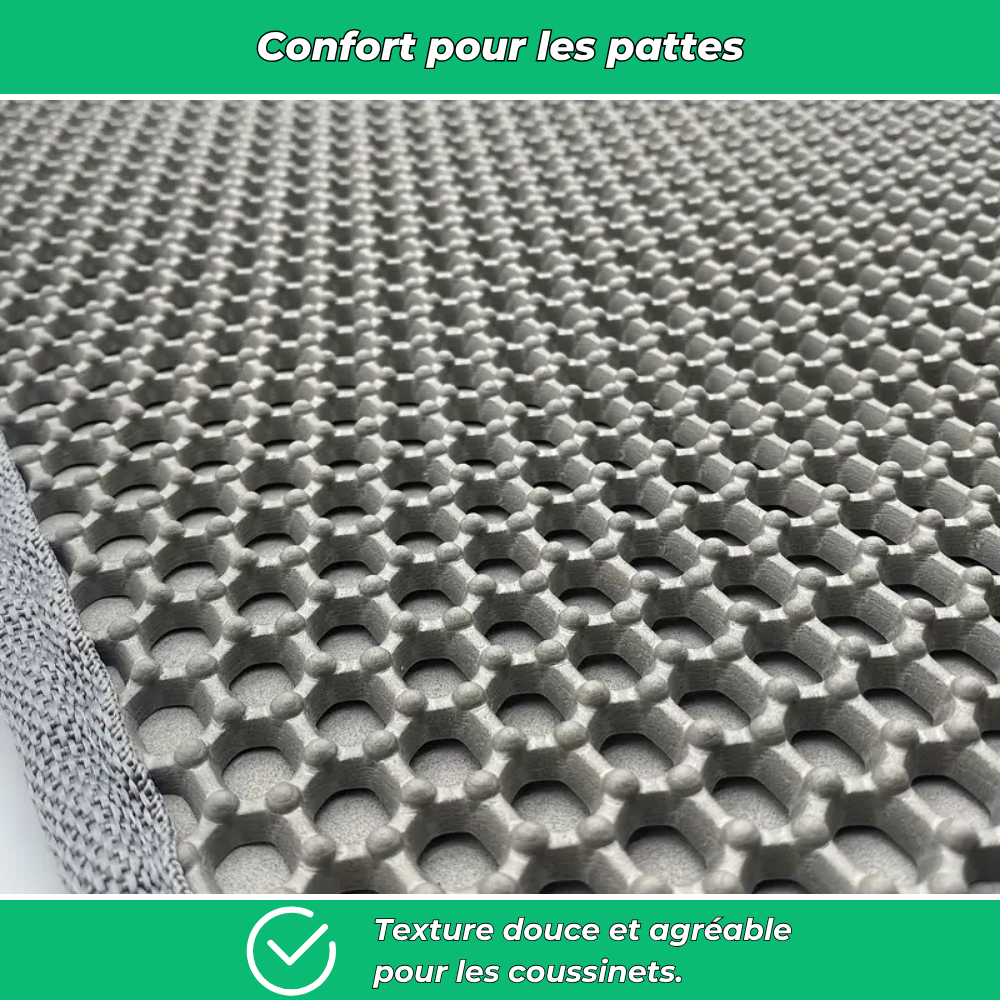 Tapis attrape-litière double couche pour chat – Anti-débordement et facile à nettoyer