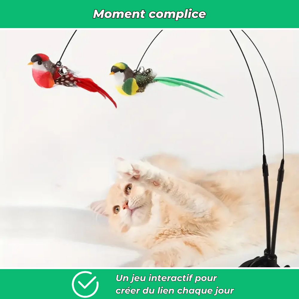 Jouet interactif pour chat avec oiseau – Stimule l’activité et la chasse