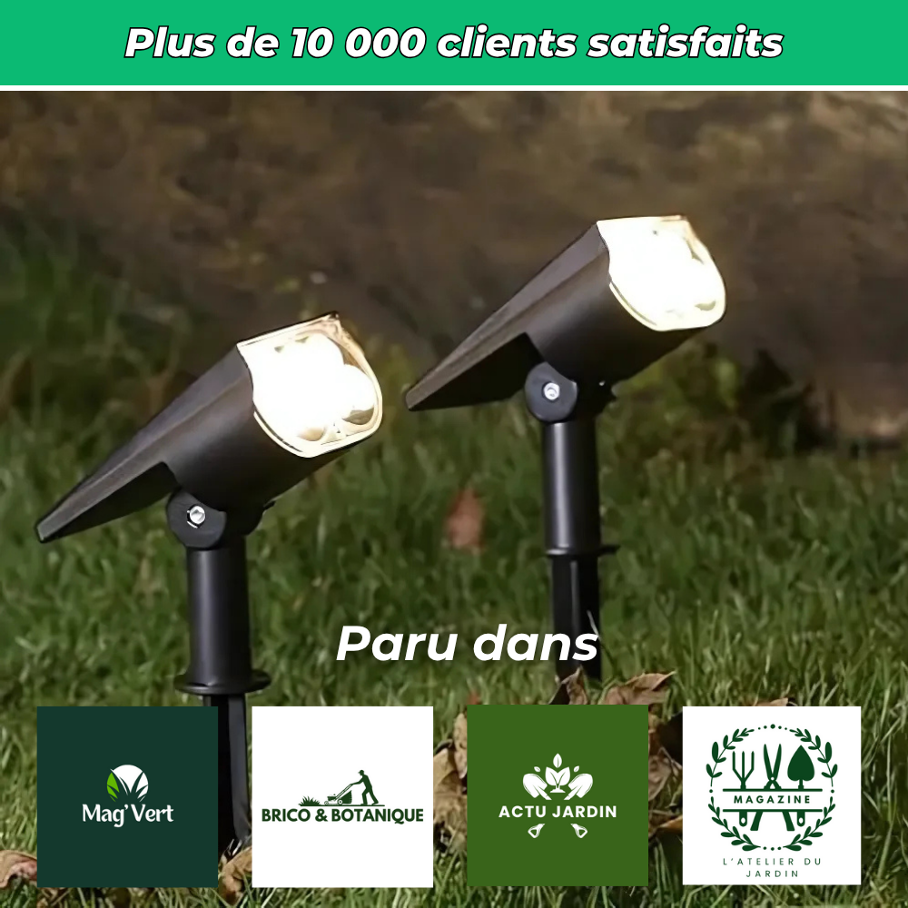 Lot de 4 projecteurs solaires sur piquet pour jardin