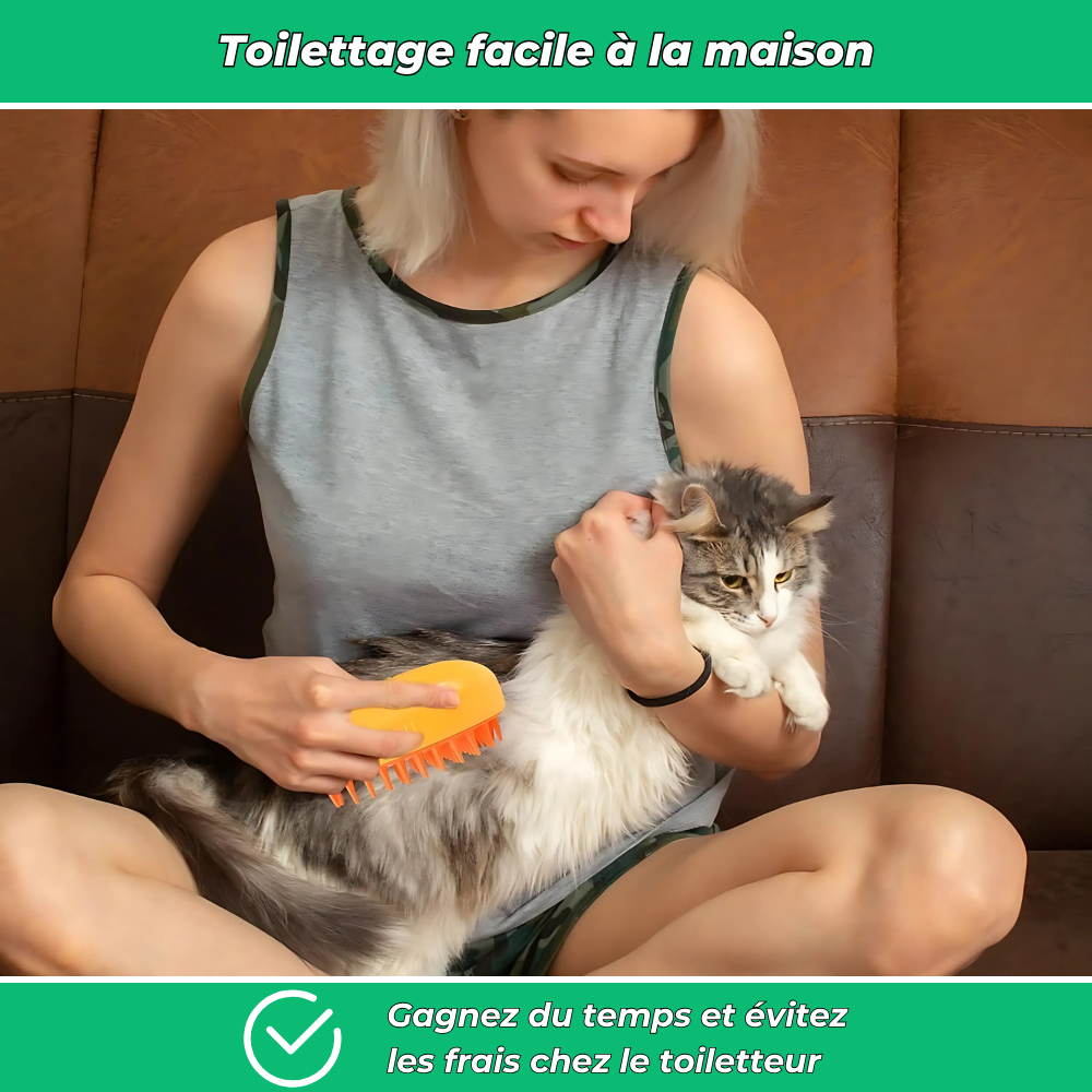 Brosse démêlante PetiBrosse pour chiens et chats – Élimine nœuds et poils morts