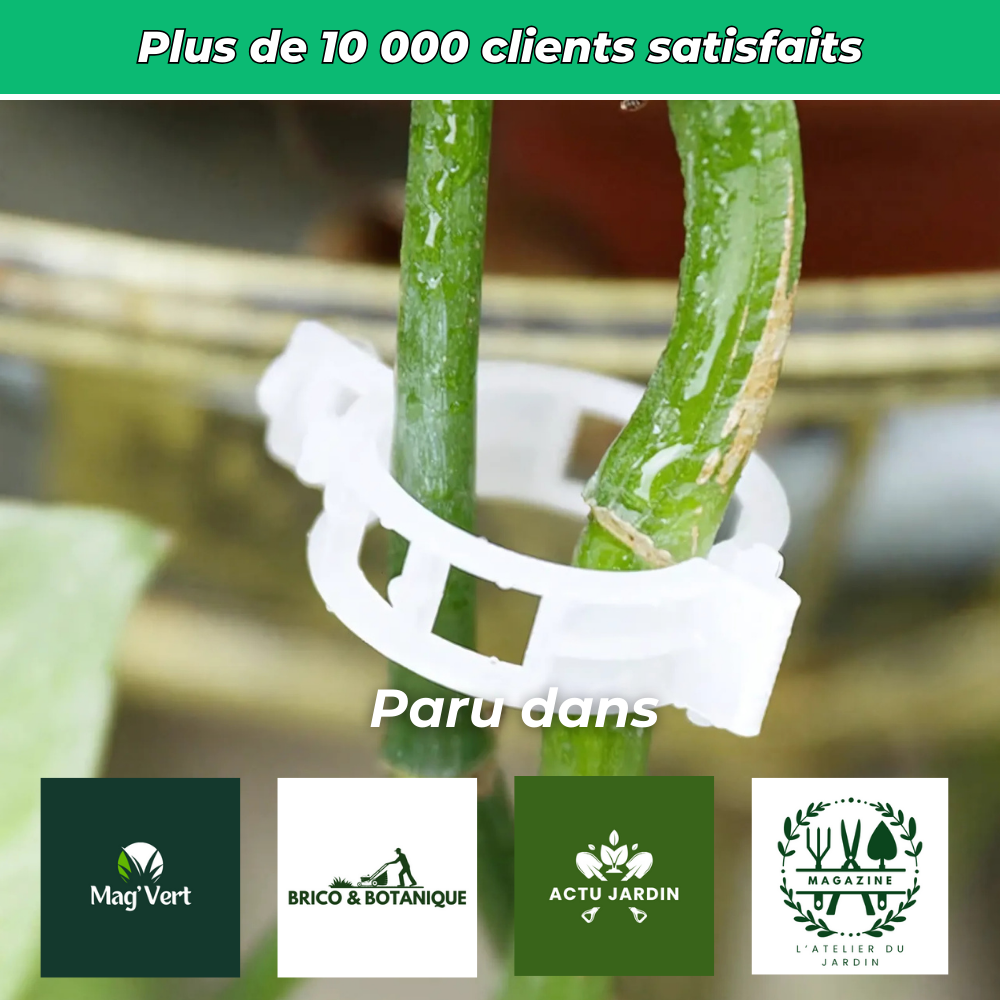 Lot de 25 Clips en Plastique Réutilisables – Pratiques pour Rangement et Organisation