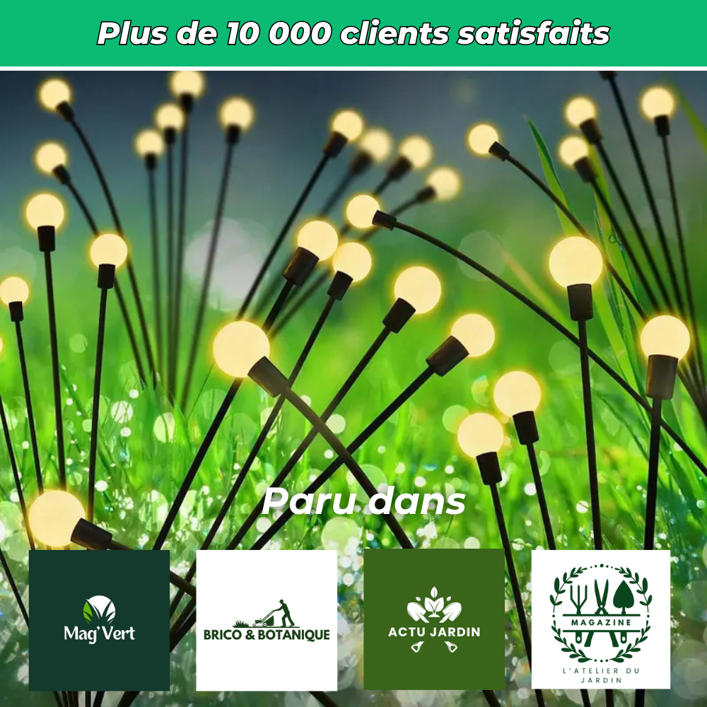 Lampes Lucioles à Énergie Solaire – Éclairage Décoratif et Écologique pour Jardin et Terrasse