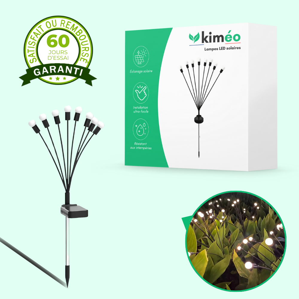 Lampes Lucioles à Énergie Solaire – Éclairage Décoratif et Écologique pour Jardin et Terrasse
